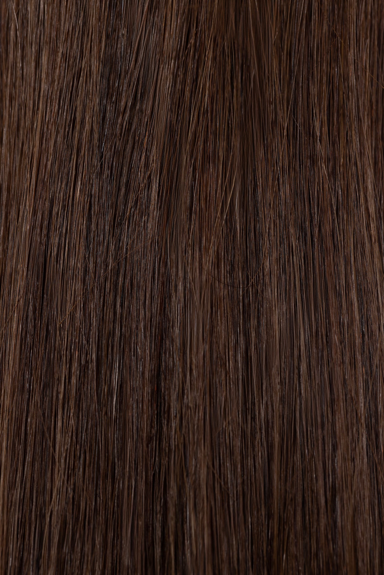 Chestnut Light Brown #4A