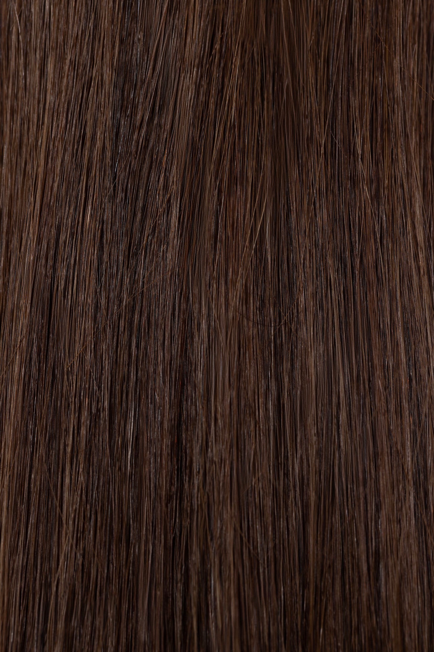 Chestnut Light Brown 4A